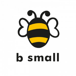 b small publishing